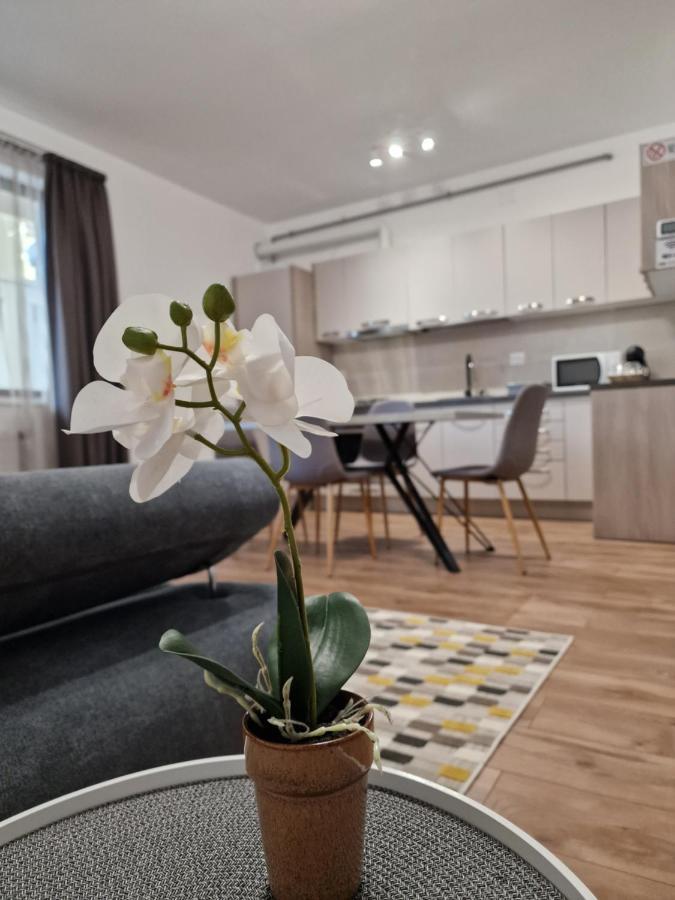 Vic Apartament Szörényvár Kültér fotó