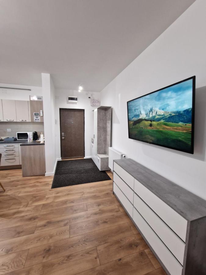 Vic Apartament Szörényvár Kültér fotó